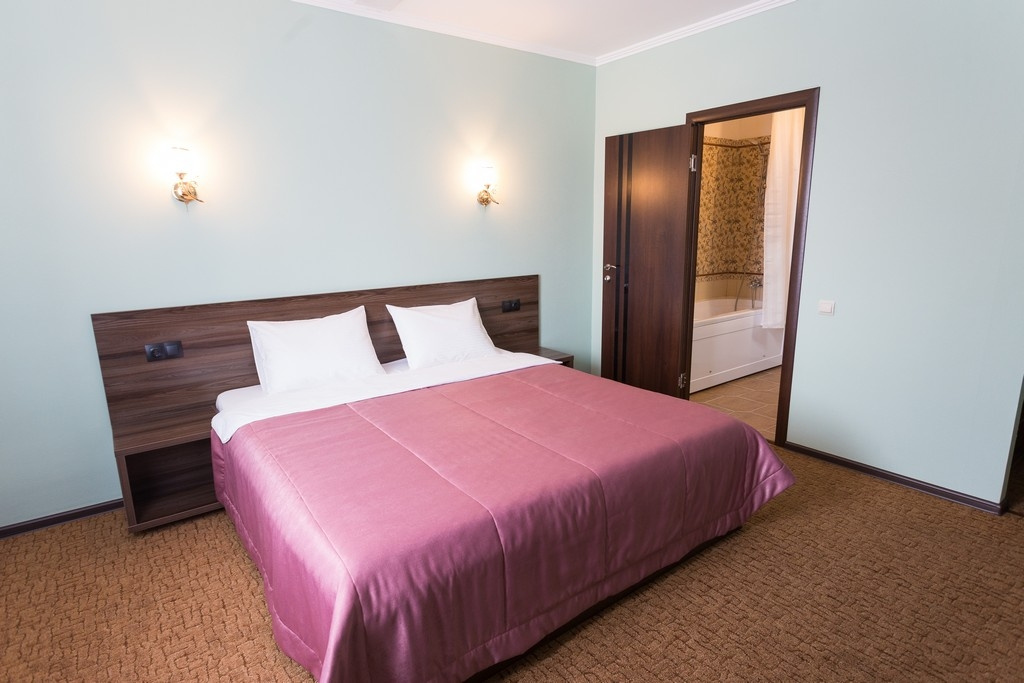 Standard Double room (full double bed)