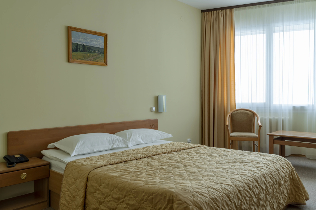 Pur Navolok Hotel Room Type - Standard Dvina Double room with river view full double bed