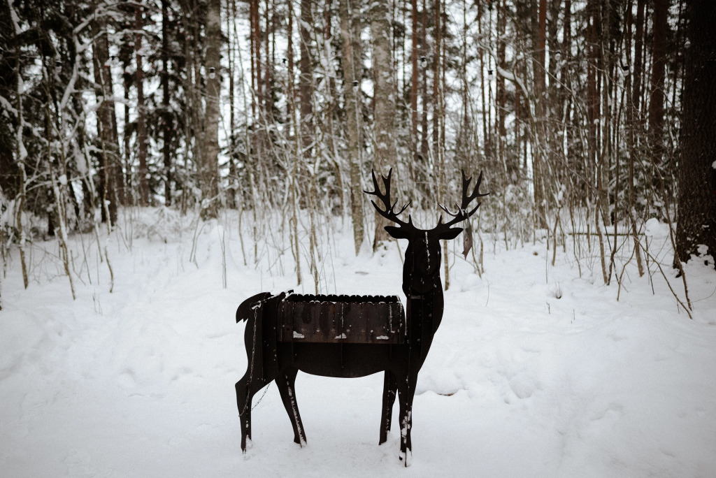 Дом №5 с панорамным видом в Deep Lake House