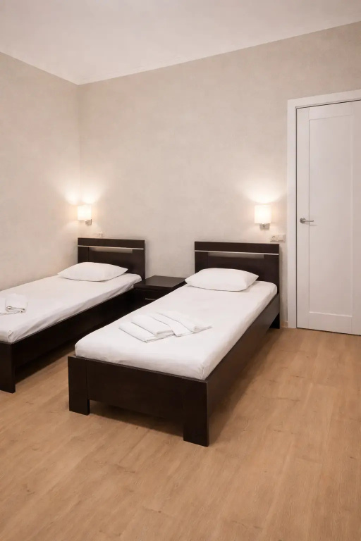 Standard Double room (twin beds)