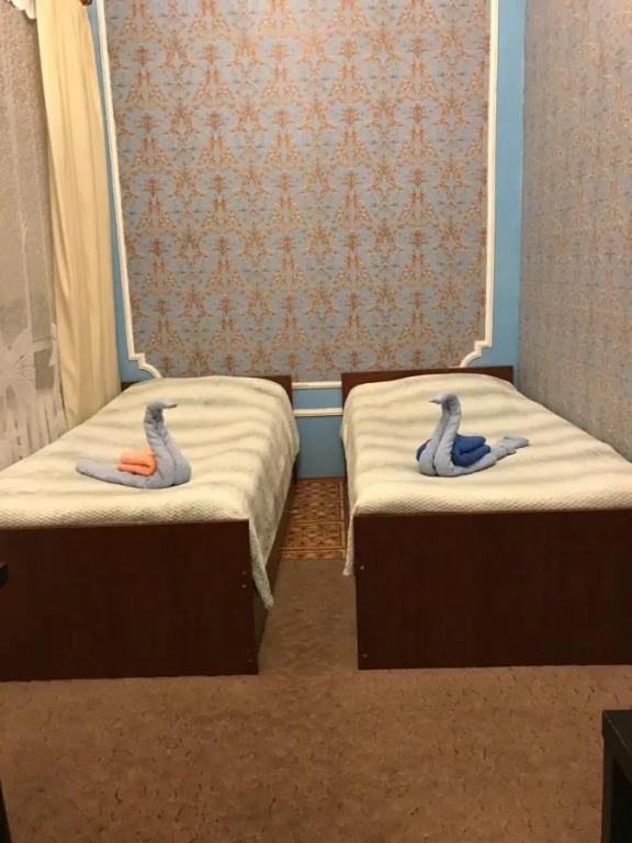 Standard Double room (twin beds)