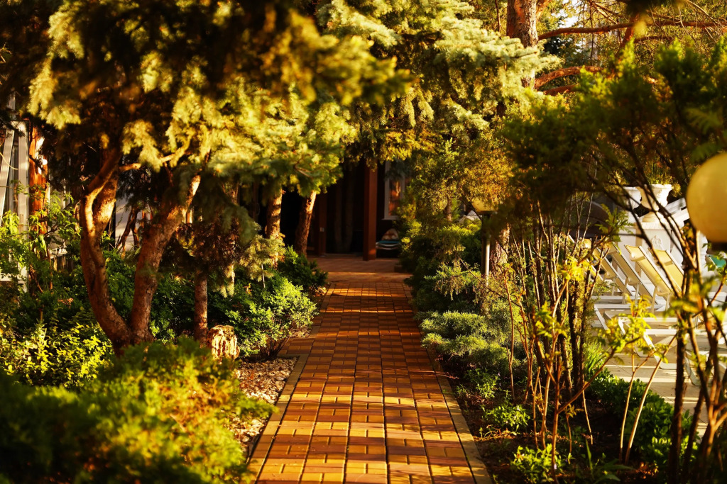 Отель Александр - фото 42