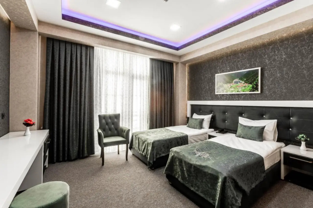 Standard Double room twin beds