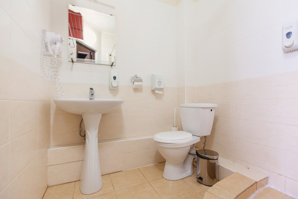 Regina-Universitetskoy Hotel Room Type - Standard Double room full double bed