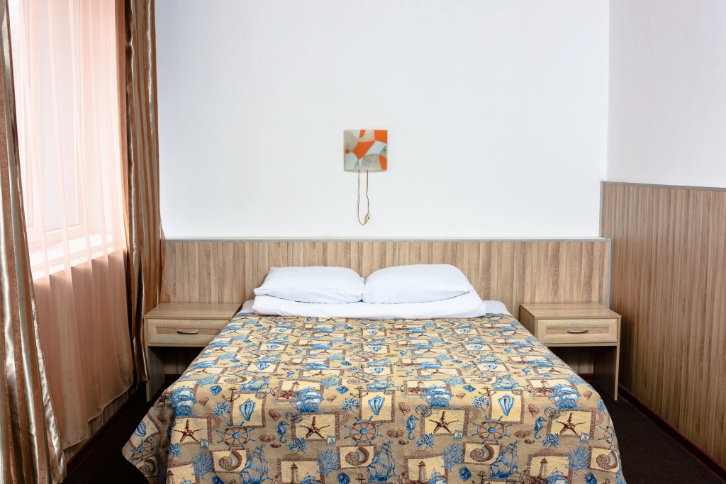 Pyatyj Element Hotel Room Type - Standard Double room full double bed