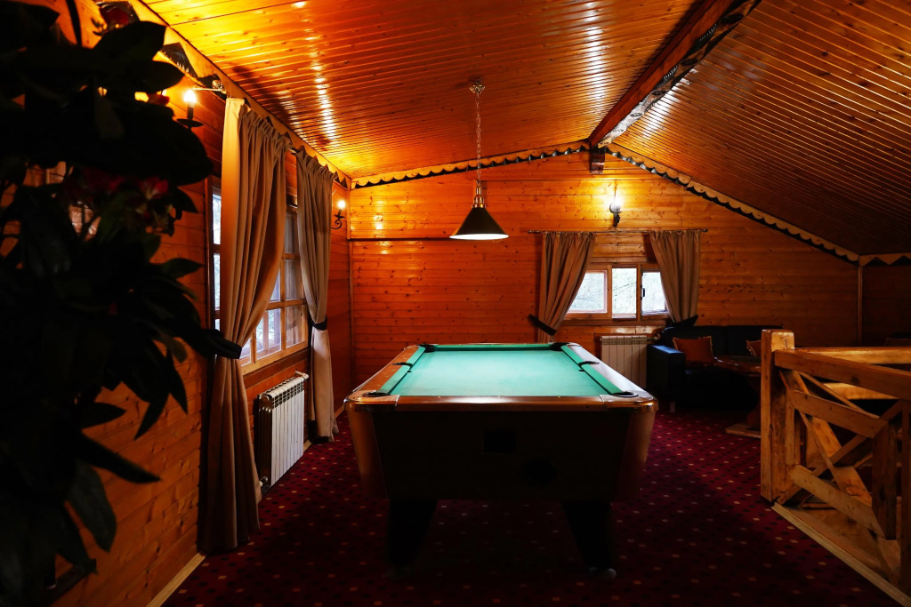 Отель Александр - фото 27