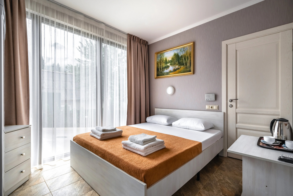 Vals Tsvetov Hotel Room Type - Deluxe with Patio Double room full double bed