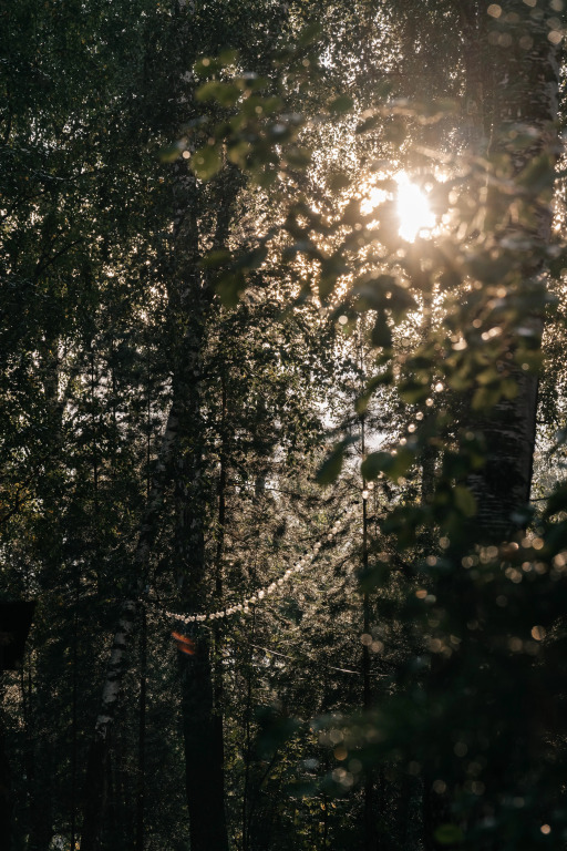 Отель Туристский оздоровительный комплекс Таежник - фото 16