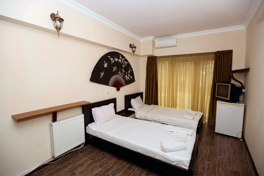 Standard Double room (twin beds)