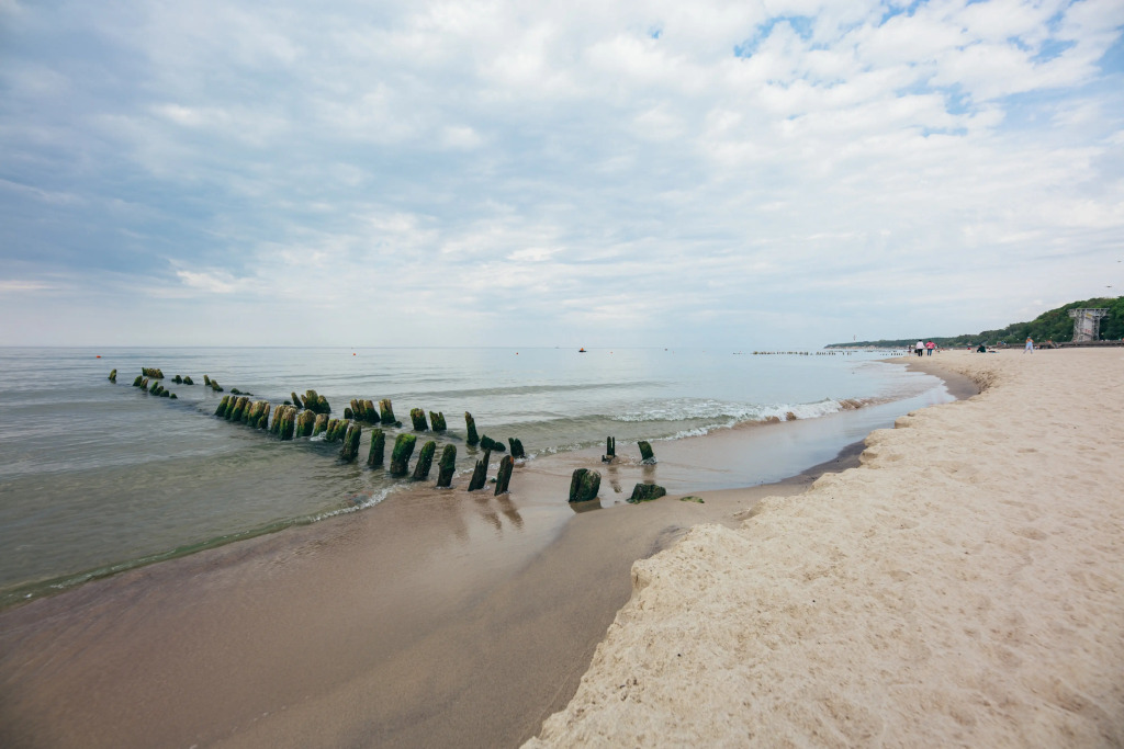 Квартира Olive Marine Resort 2 - фото 38