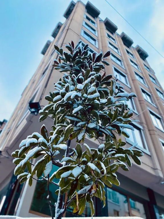 Riva Hotel Taksim — фото