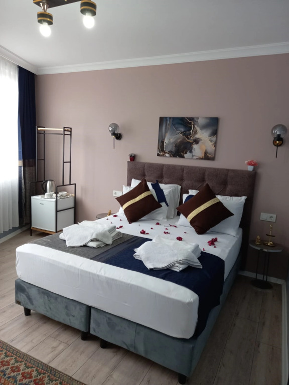 Двухместный номер Std двуспальная кровать в Отель Emirhan inn