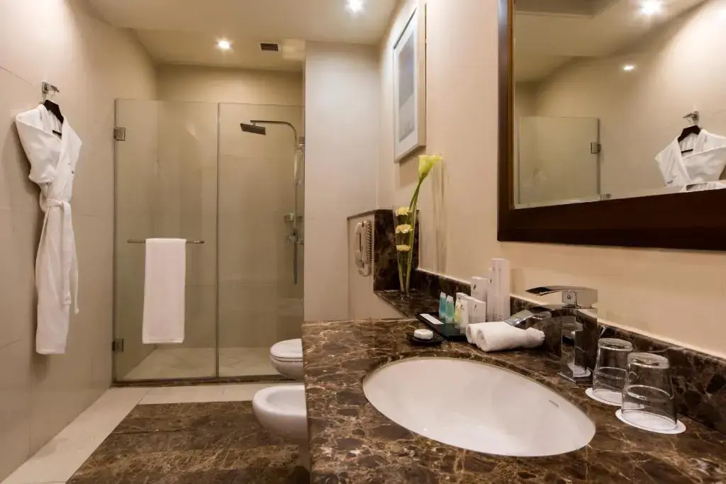 Deluxe Double room with city view (full double bed)