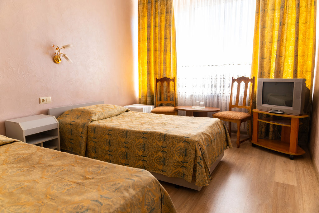 Economy Double room (twin beds)