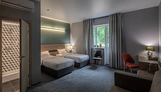 Deluxe Double room (full double bed)