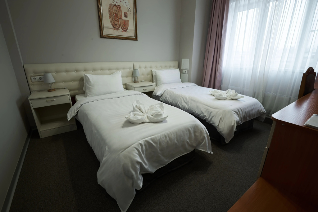Superior Double room (twin beds)