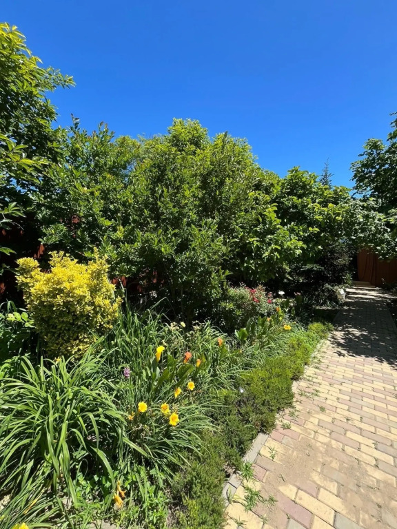 Гостевой дом Диво - фото 14