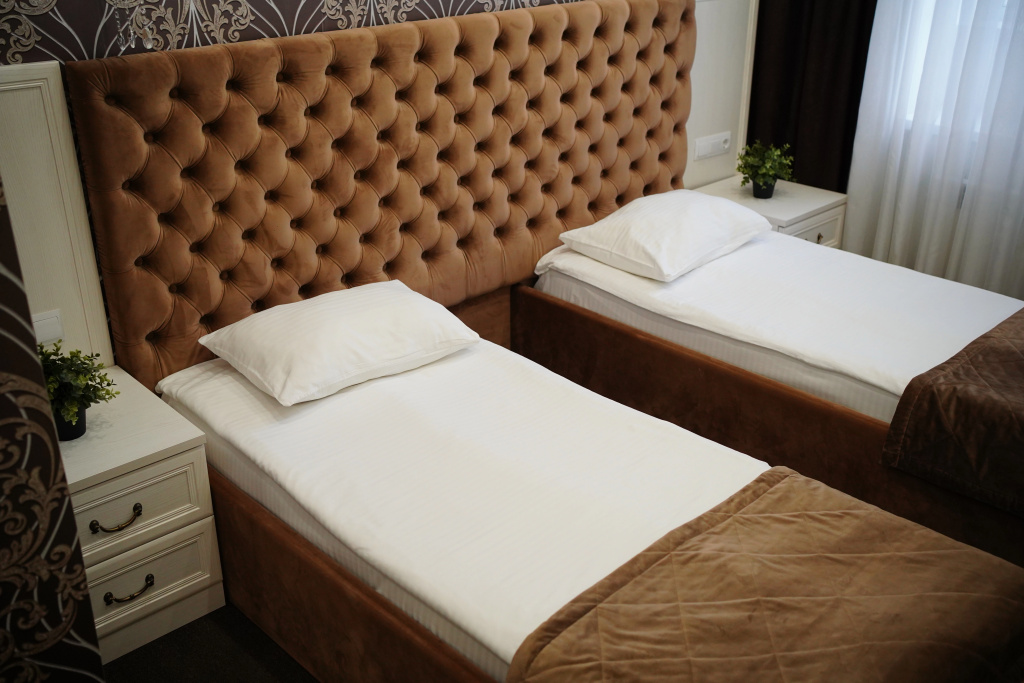 Standard Double room (twin beds)