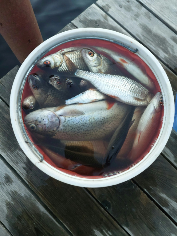 Коттеджный посёлок У Плотника - фото 20