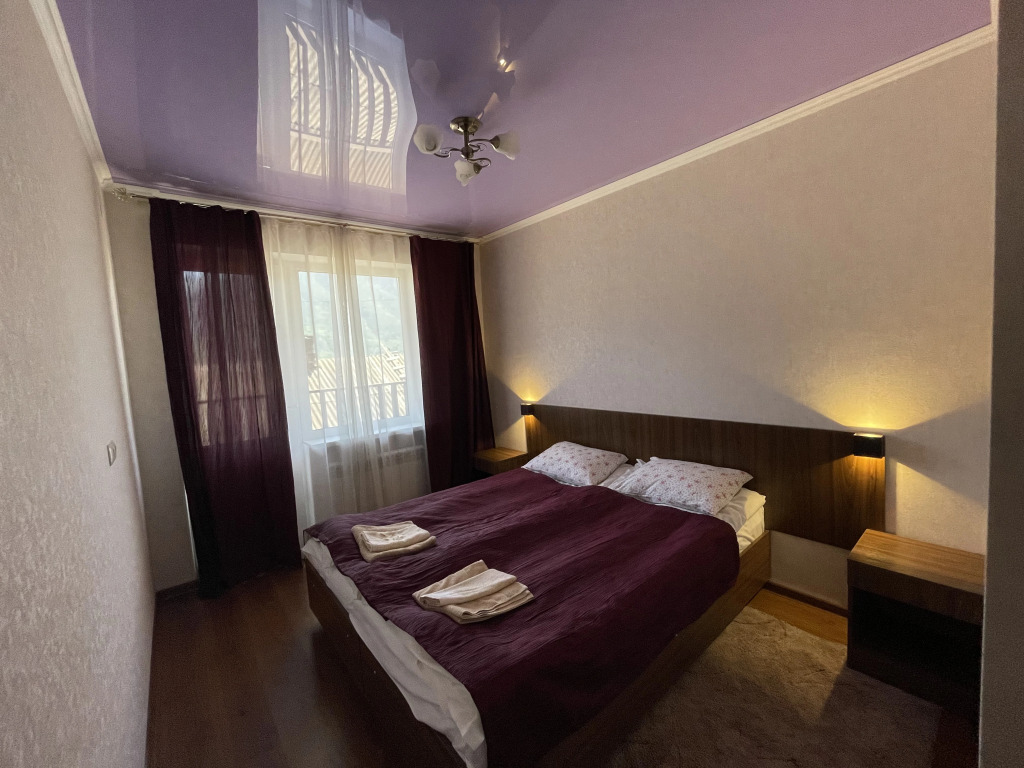 Двухместный номер Standard № 1 с видом на горы двуспальная кровать в Ёлка и камин