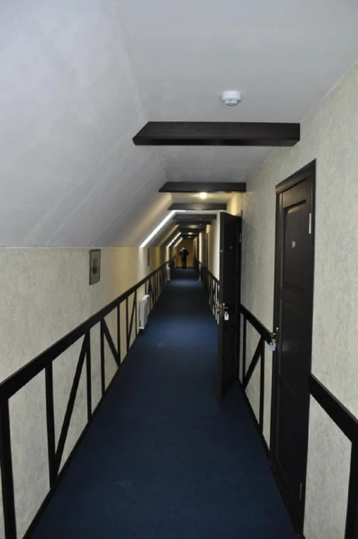 Отель Мельница - фото 6