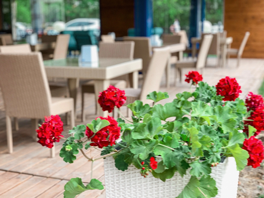 Valen Park Guest house