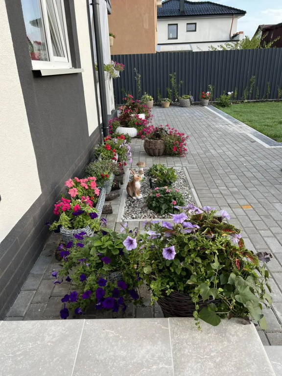 Уютный дом для комфортного проживания с баней и купелью — фото