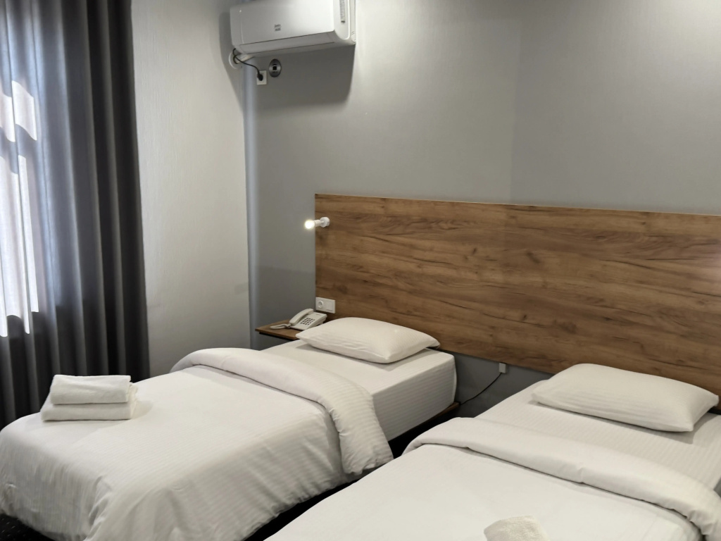 Deluxe Double room (twin beds)