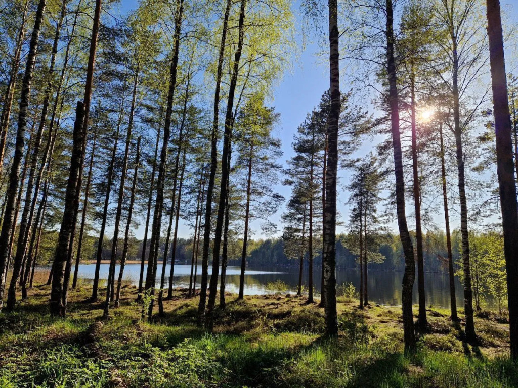 Коттедж с красивым видом из окна в Уют for You