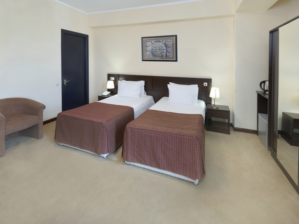 Ani Central Inn Hotel - Chambres