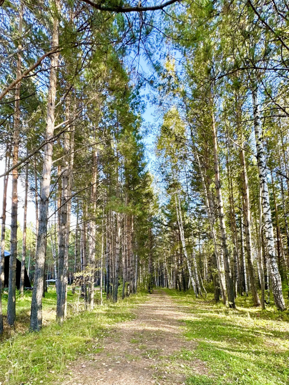 Гостиница Сосновый Бор - фото 19