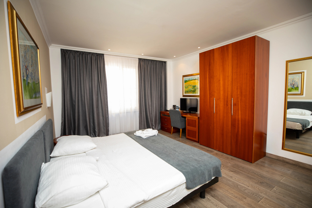 Standard room with view