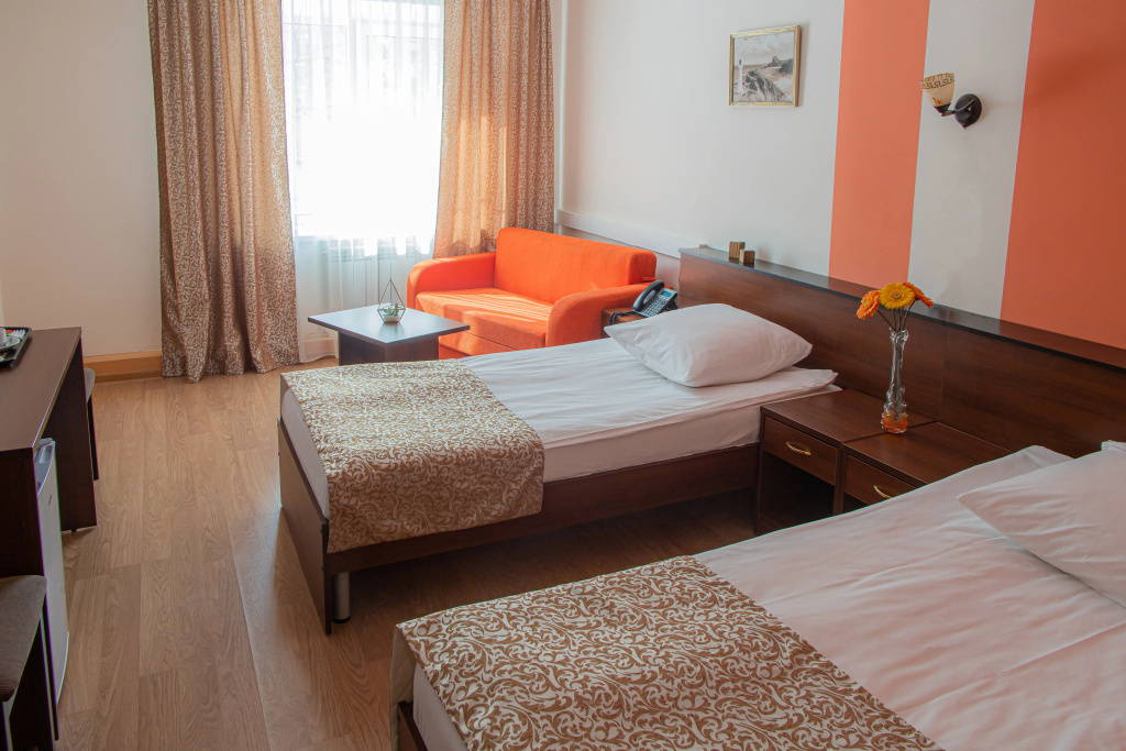 With Sofa bed Double room (twin beds)