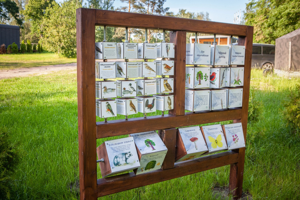 Глэмпинг Yagoda - фото 5