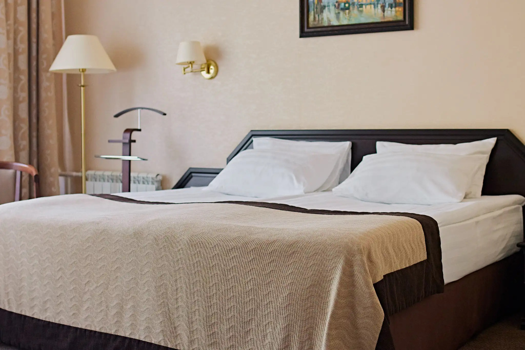 Graf Tolstoy Hotel Room Type - Double Junior Suite with city view full double bed