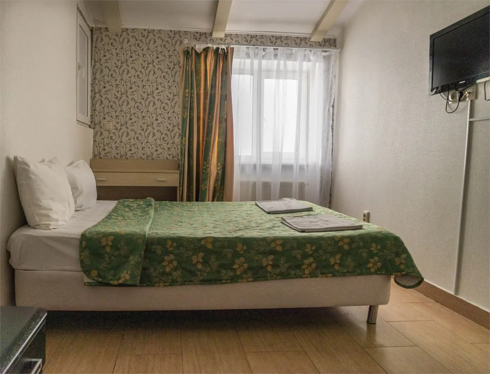 Standard Mini Double room (full double bed)