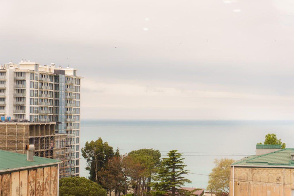 Na ulitse Abazgaa Flat