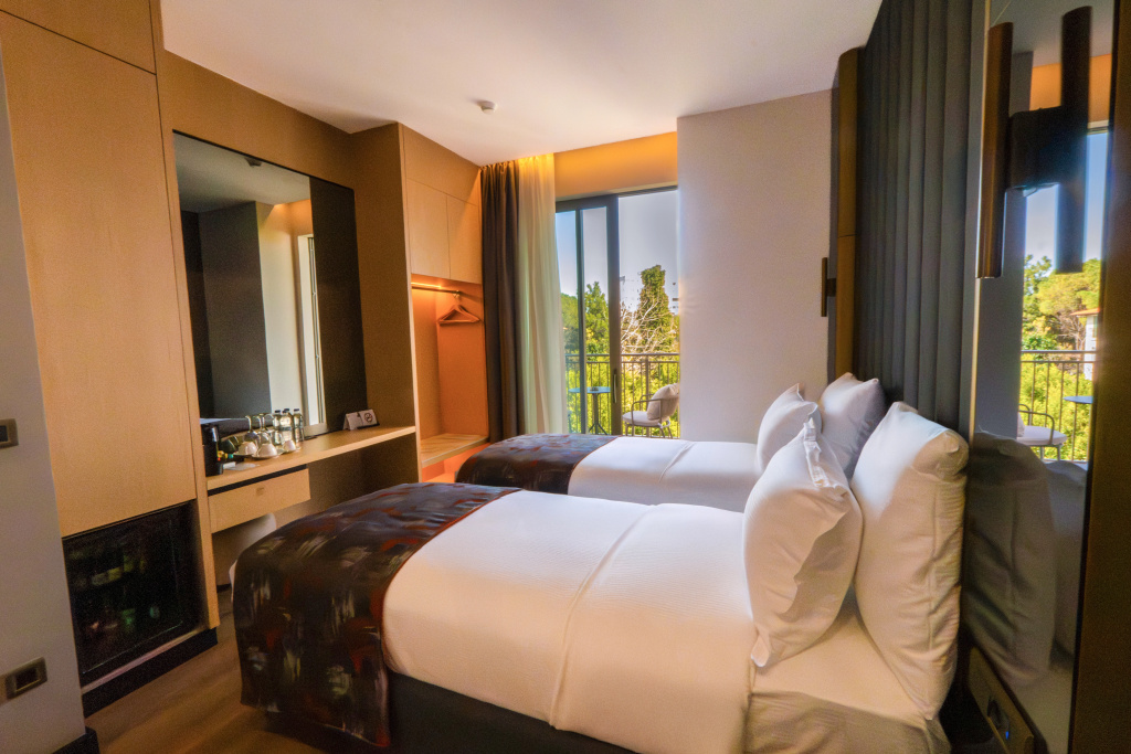 Deluxe Double room (twin beds)