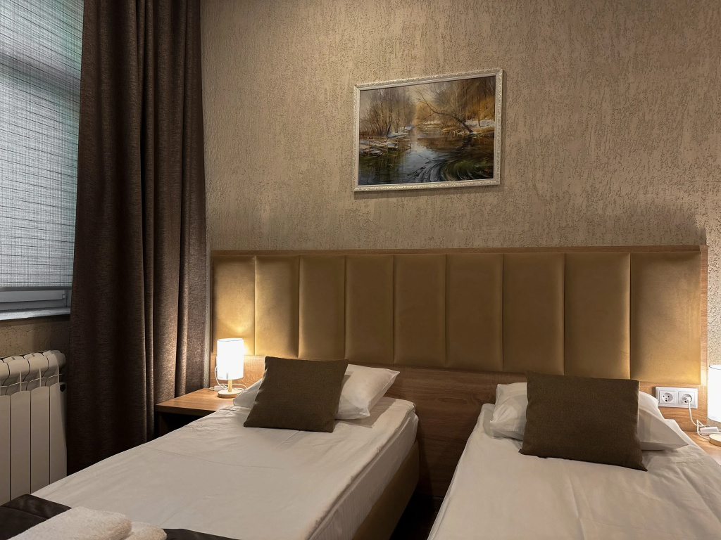 Superior Double room with city view (twin beds)