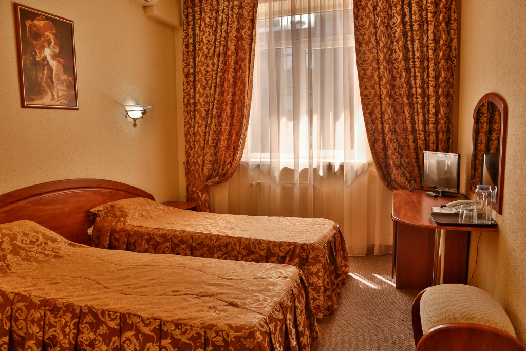 Standard Double room (twin beds)