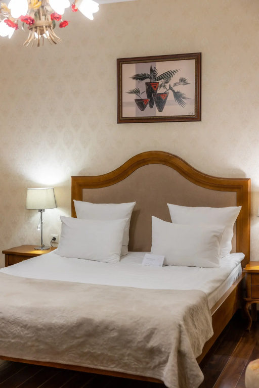 1-room Classic №3 Double room with view (full double bed)