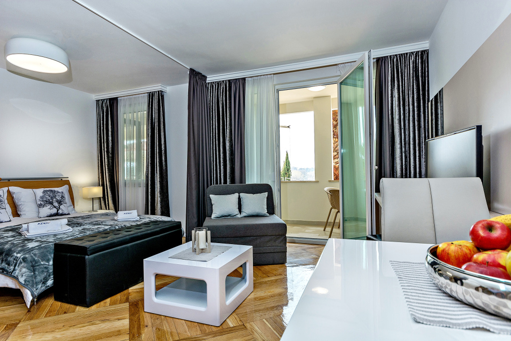 Studio with balcony and with view