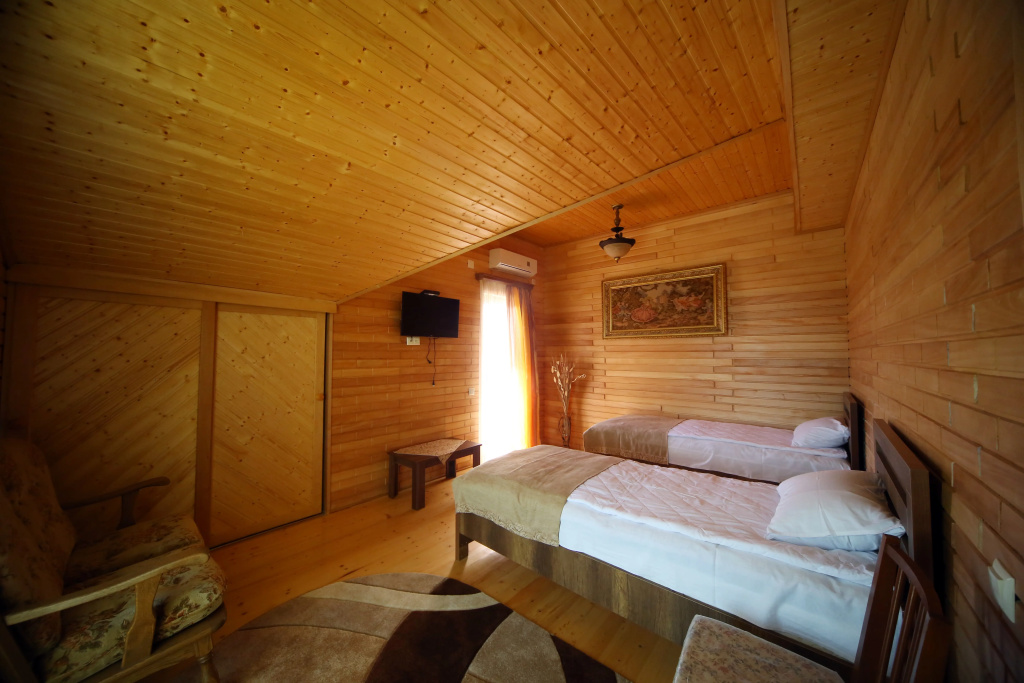 Standard Double room with balcony and with view (twin beds)