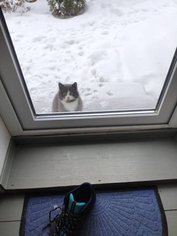 Двухместное бунгало с видом на внутренний двор двуспальная кровать в Усадьба