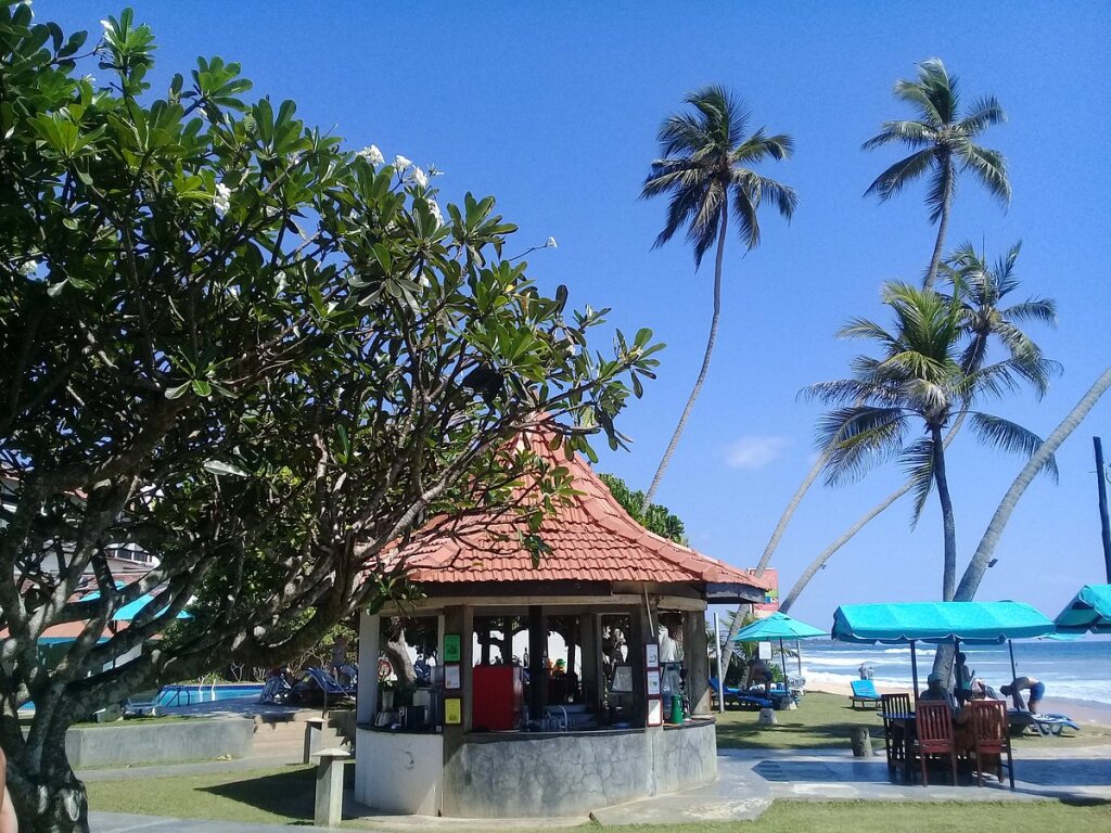 Хиккадува thai lanka. Lanka super corals шри ланка. хиккадува рынки. хиккадува статуя. lanka super corals вид со спутника.