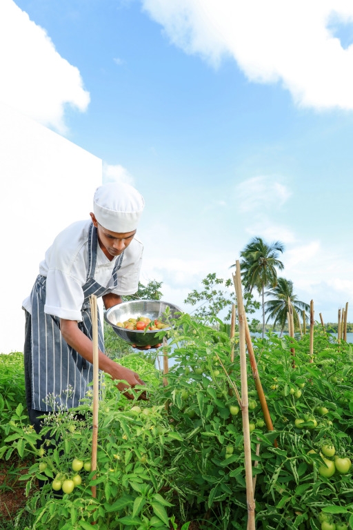 Отель Tri Koggala by Amaya - фото 42