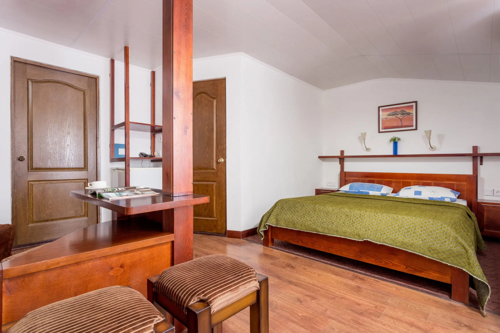 Double Studio with balcony and with courtyard view (full double bed)