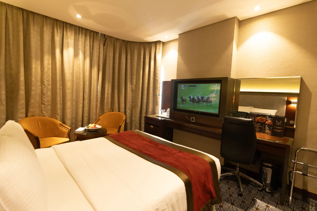 Deluxe Double room (full double bed)