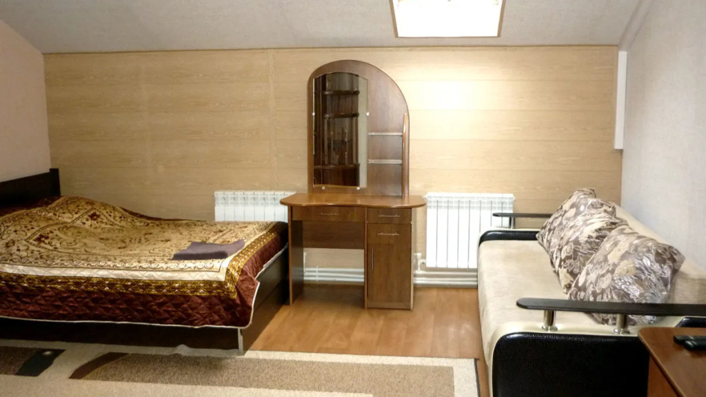 Standard Double room with city view (full double bed)