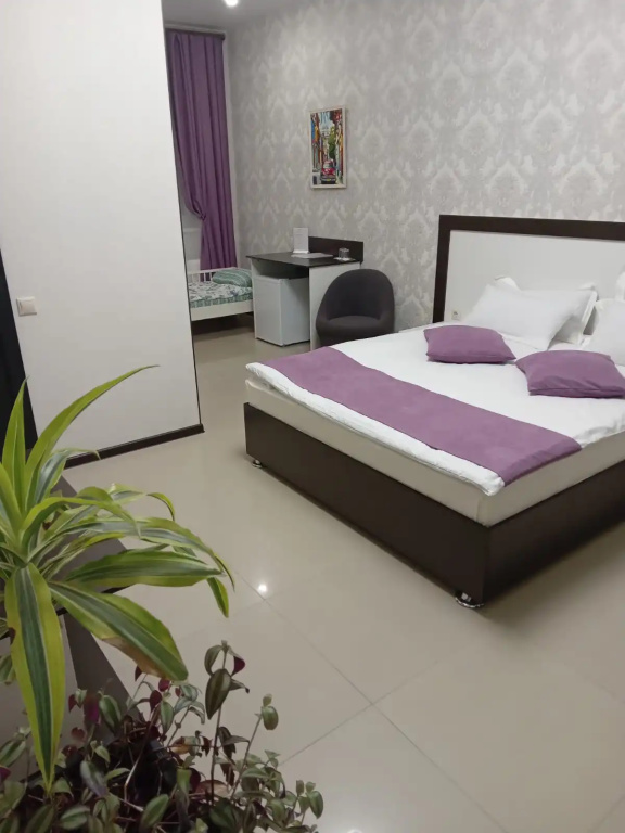 Deluxe 215 Double room (full double bed)